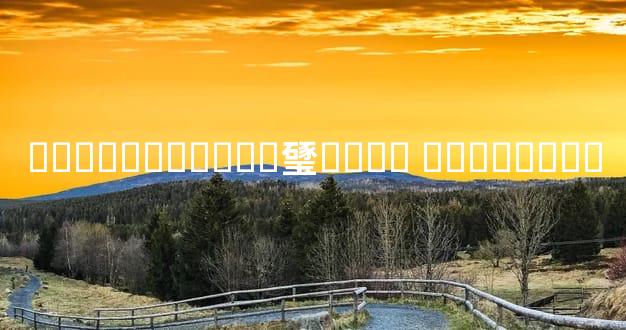 �����������㻹���� ����ɶ��˼